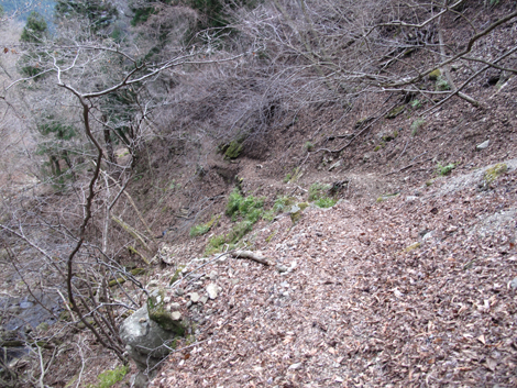 20170113hike (412)